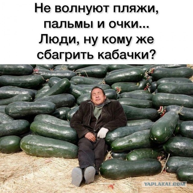 Диетолог Брискман: Людям старше 45 лет важно употреблять кабачки