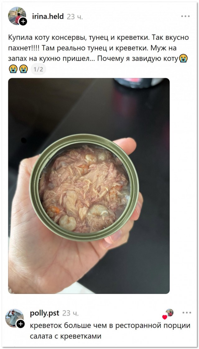 «Купила коту консервы⁠⁠»