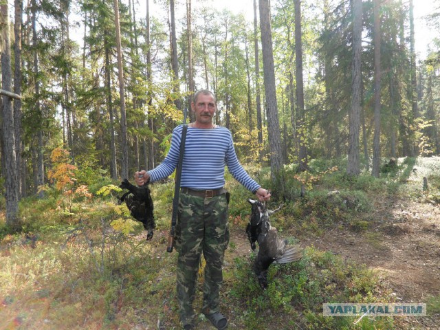 На рыбалку за семгой.