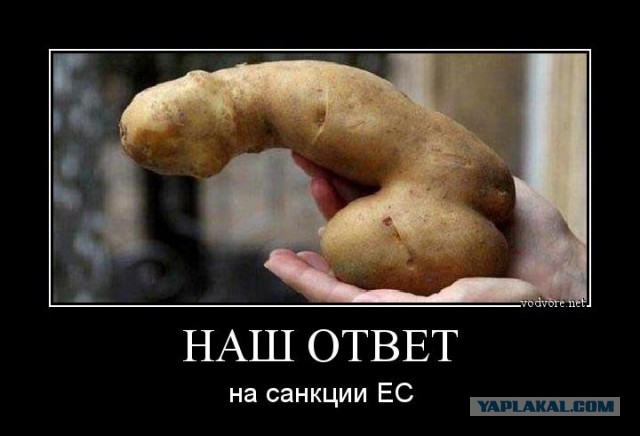 Опрос - Как РФ должна отреагировать на санкции