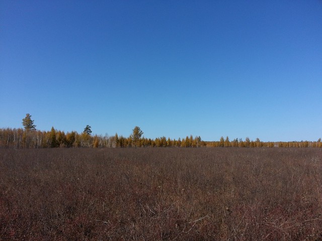 3 дня и 2 ночи в тайге