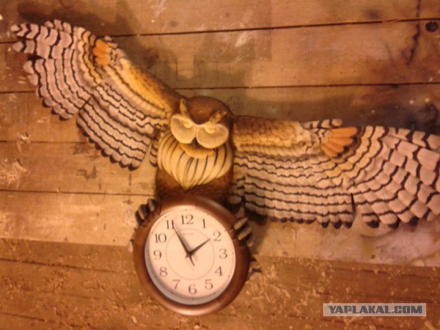 Как нарисовать сову