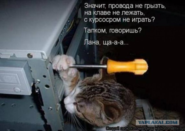 Узнал хозяина и ОПУПЕЛ! :)