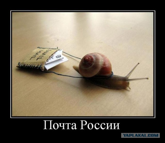 Смешное из инета