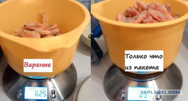 "Золотые" креветки