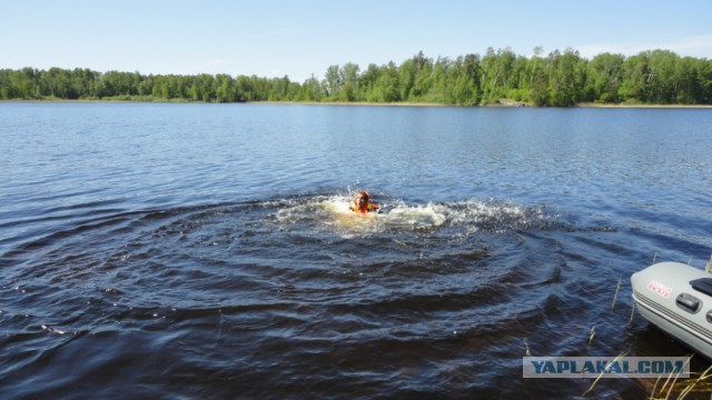 Вуокса 2015