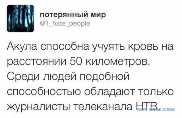 Смешные комментарии из социальных сетей 11.09.15