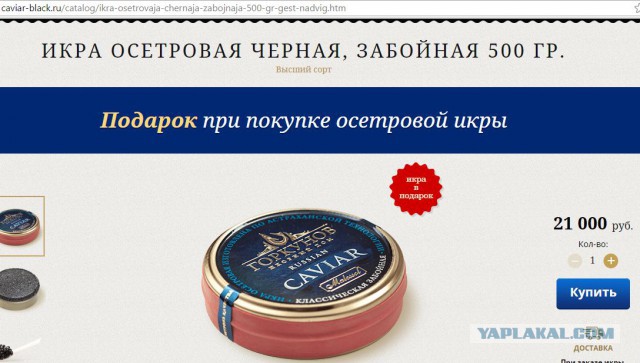 Дикие русские