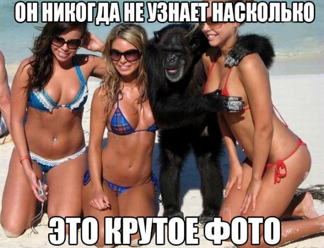 Картинки разные с просторов