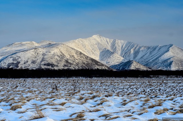 Колыма: первая корюшка 2016, как это было...