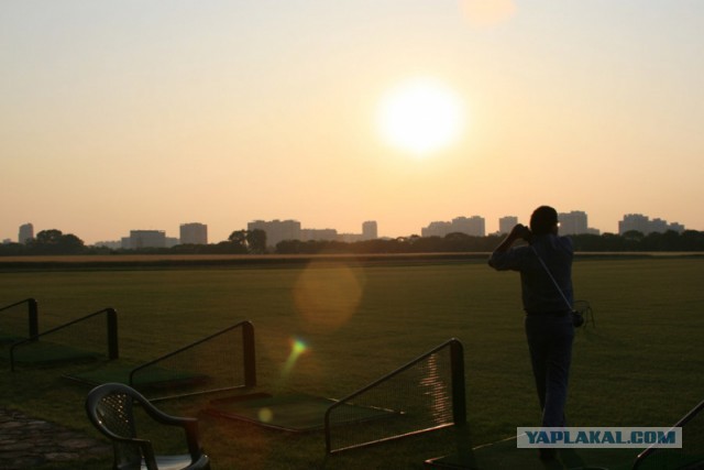 Спасем Тимирязевку !