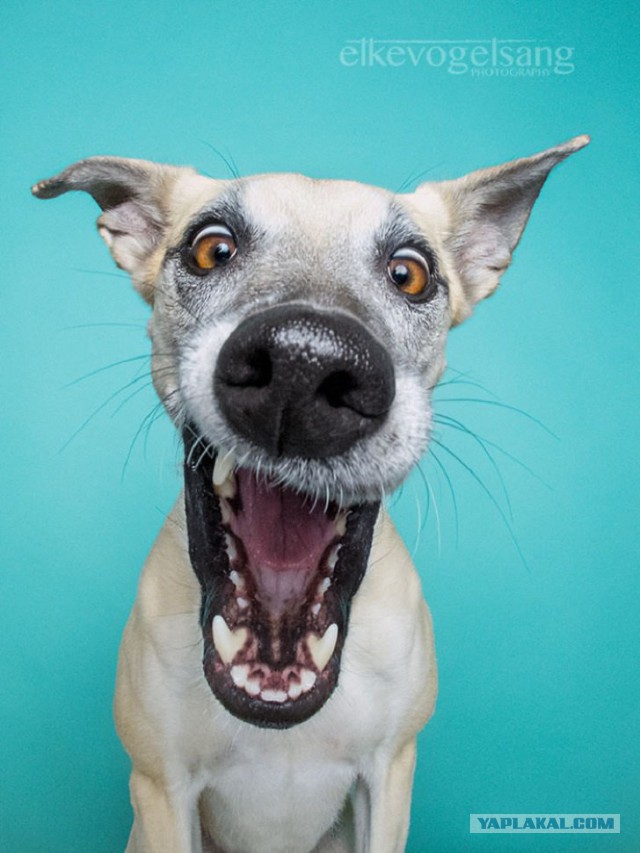 Подборка интересных и веселых картинок