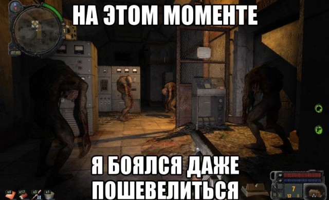 Фанатам игры С.Т.А.Л.К.Е.Р посвящается