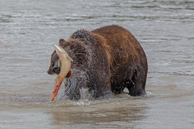 Интересные и веселые картинки