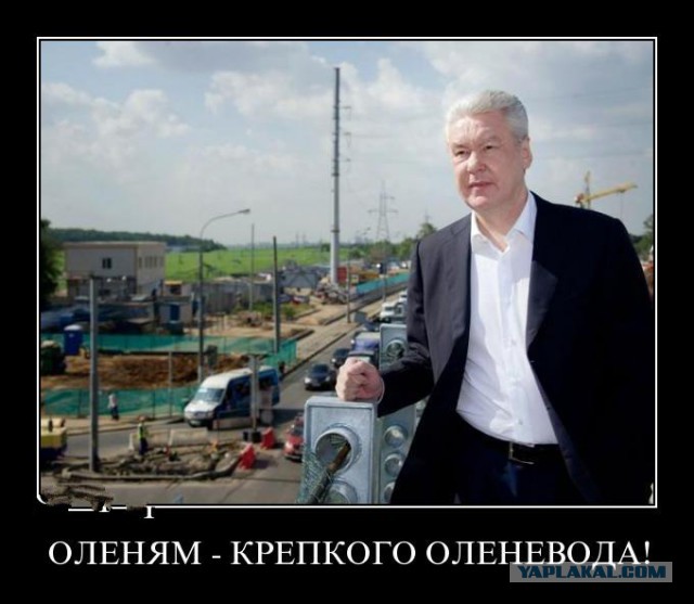 Опять Собянин и Ко