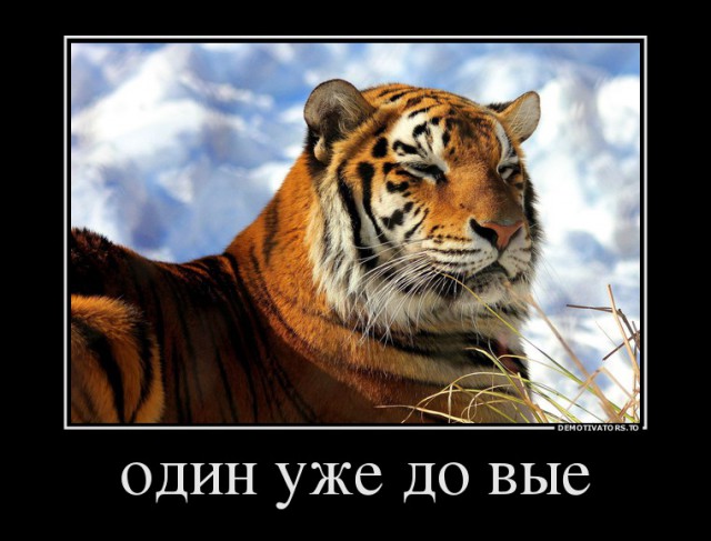 Козёл нарывается
