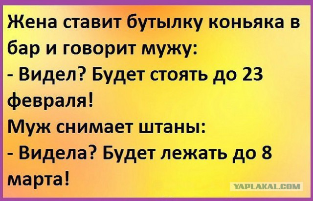 Картинки и приколы из сети, для поднятия настроения=)