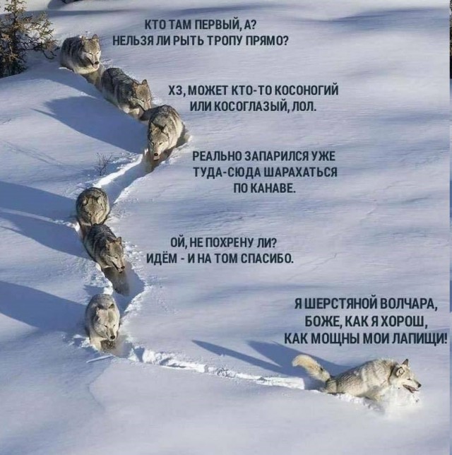Всякие разные картинки