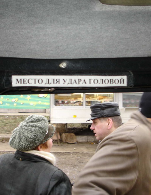 Смешные картинки