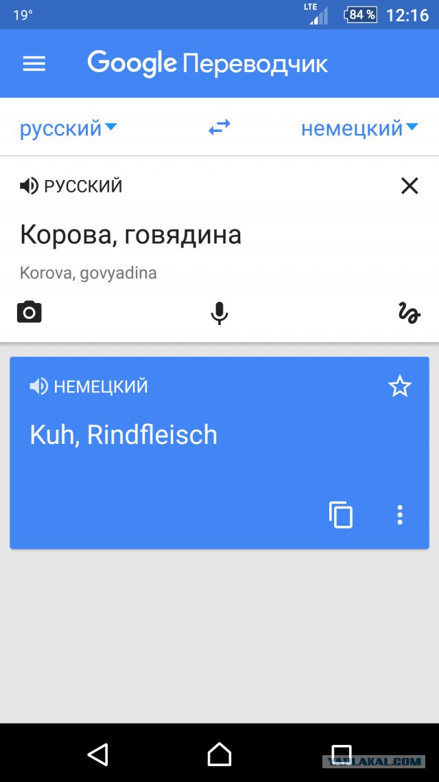 Почему мясо коровы называют говядиной?