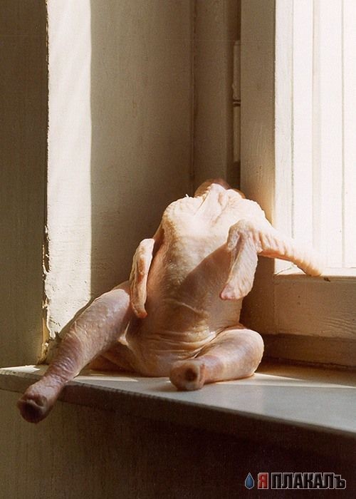 Девушка дня