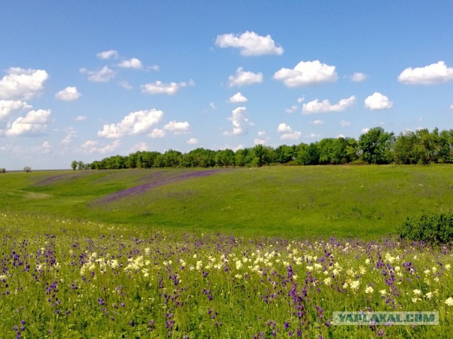 Очарование российской глубинки