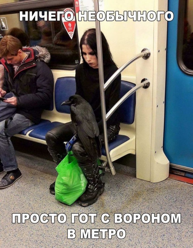 Тупик эволюции