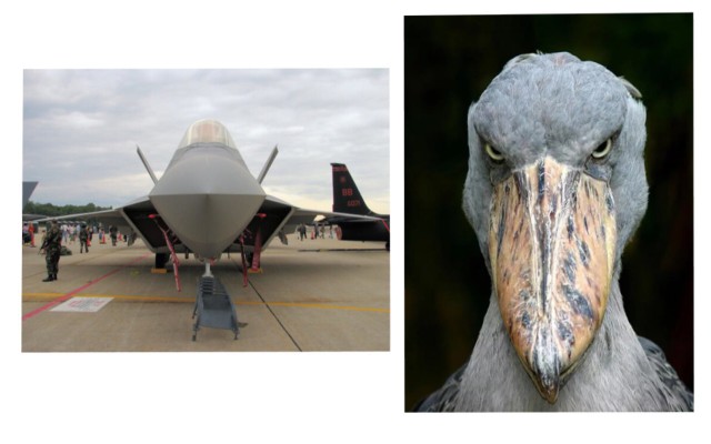 Прогулка вокруг F-22 Raptor