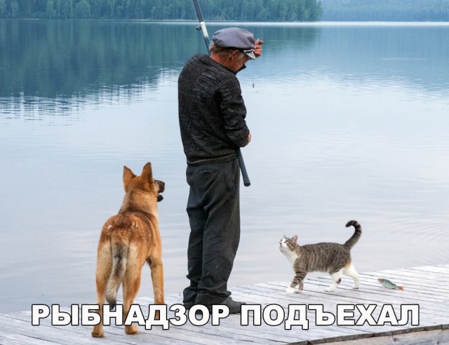 Немного милоты