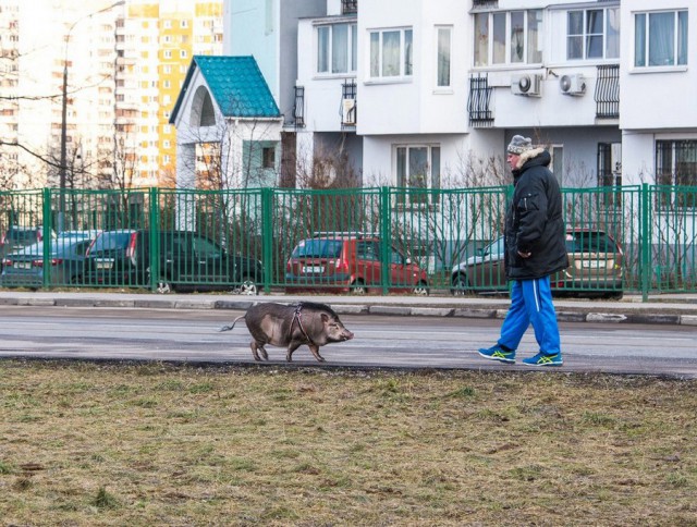 Подборка интересных и веселых картинок