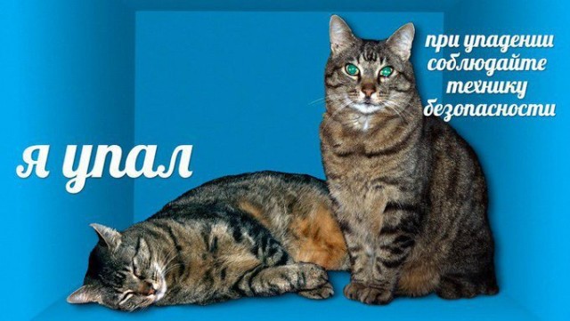 Картинки на воскресный день