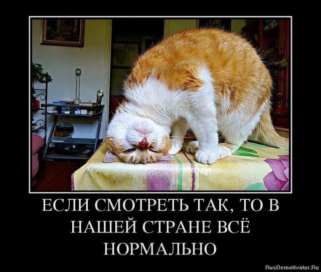 Россияне стали жить рекордно дольше