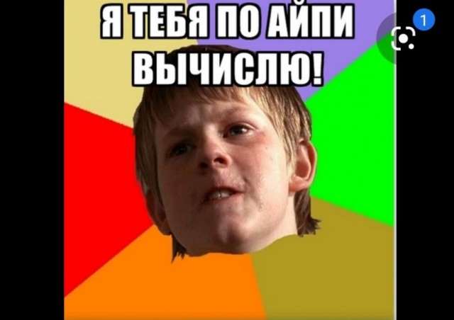 Помогите вернуть кота! Приют "Преданное сердце" украл кота и не отдает!-2