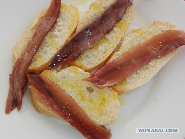 Паста с сардинами (Pasta con le sarde)