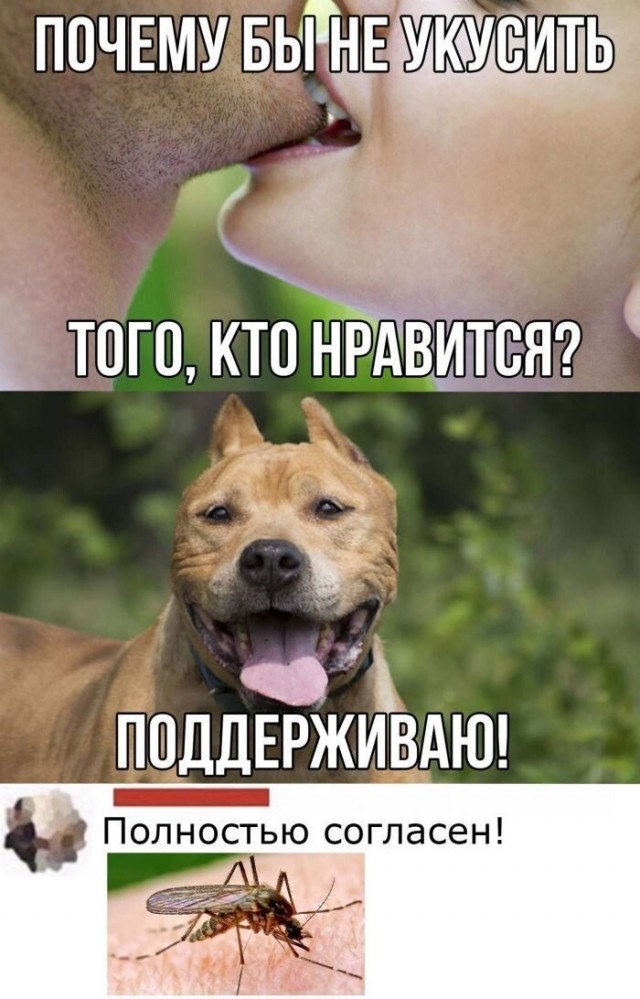 Немного картинок для настроения 01.07.20