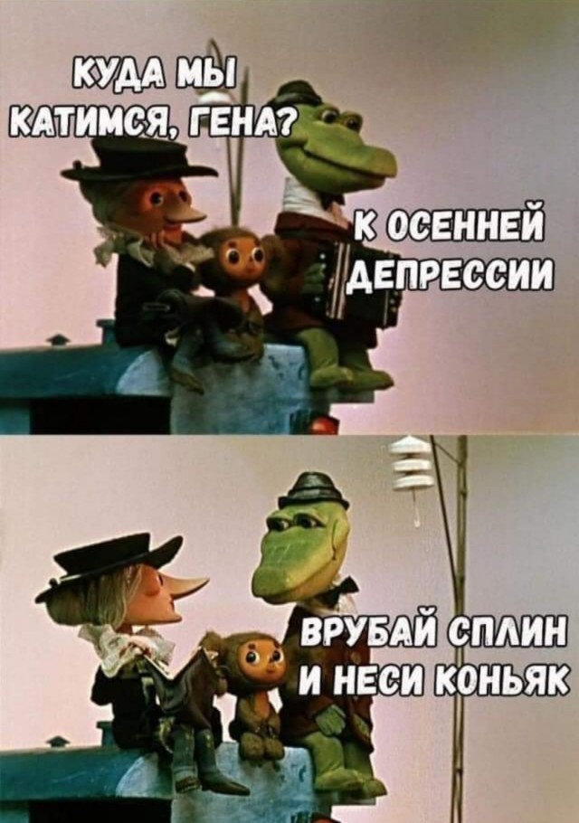 Бредзона 15.08.20