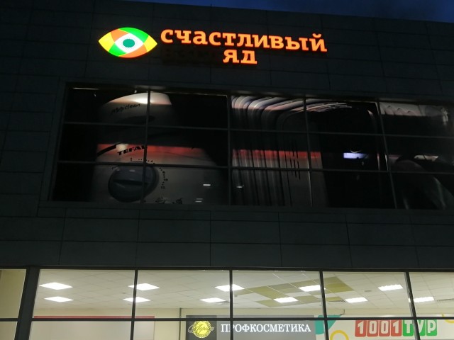 Правительство Германии: Навальный был отравлен ядом, схожим с «Новичком»