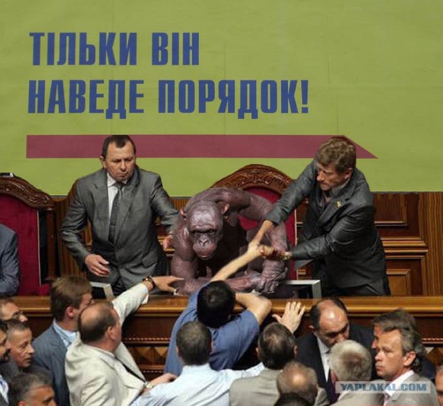 Фотожаба: Всю жизнь за решеткой