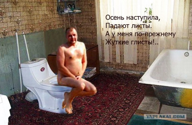 осень наступила падают листы