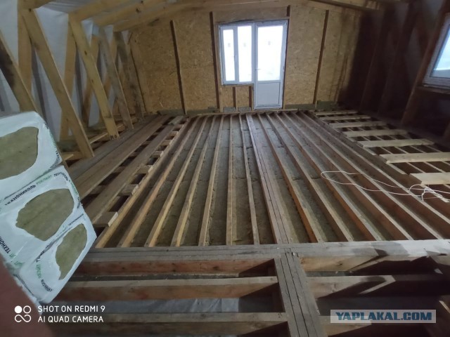 Жизнь домашнего приюта "Котоленд" 269