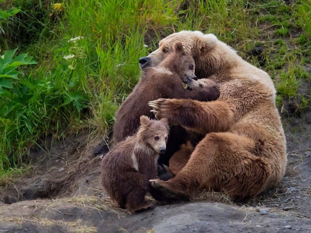 Добрые картинки 28.11.20