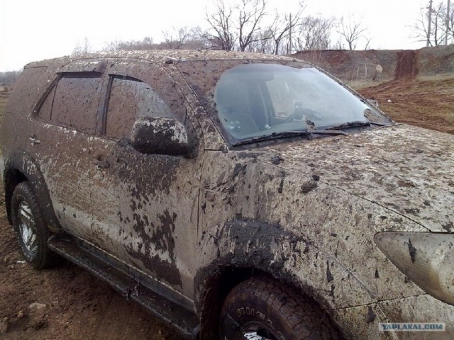 На Шершни в глиноговны