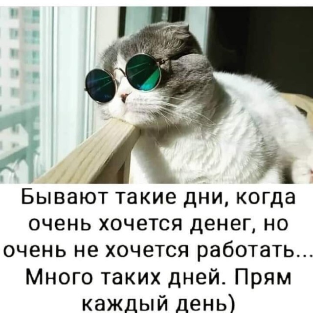 Весёлый полтишок 30.03
