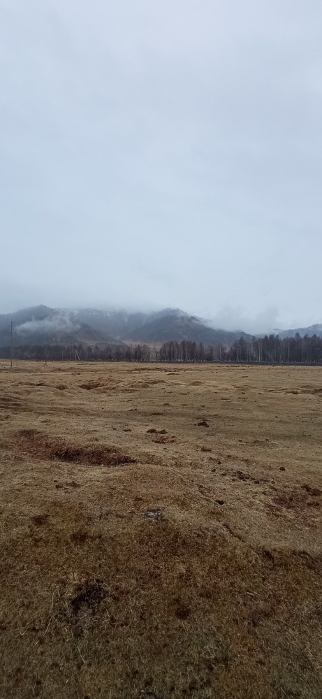 Все деревья а серебре, пляшут зайцы на горе, на реке сверкает лёд, наступает...