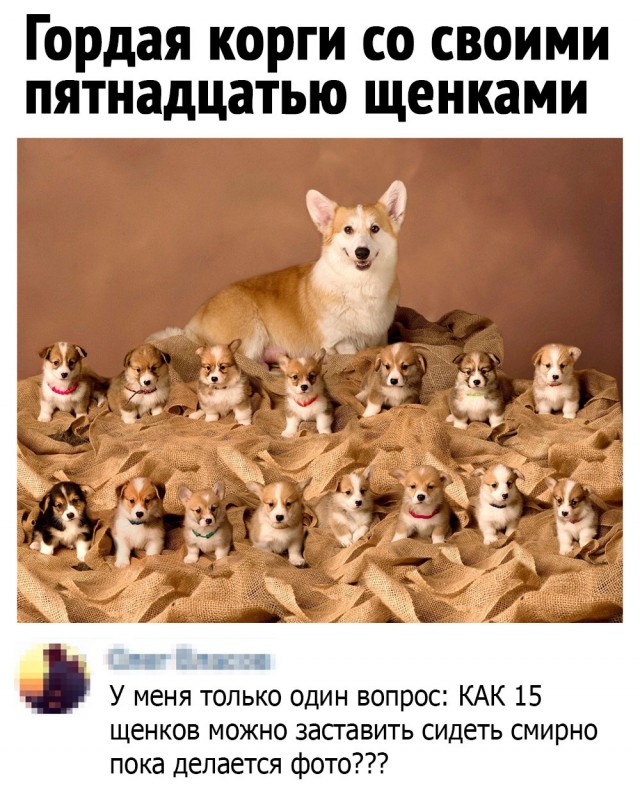 Картинки с надписями и всякие жизненные фразы 1.05.21