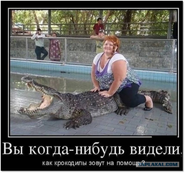 Бредзона 08.08.21