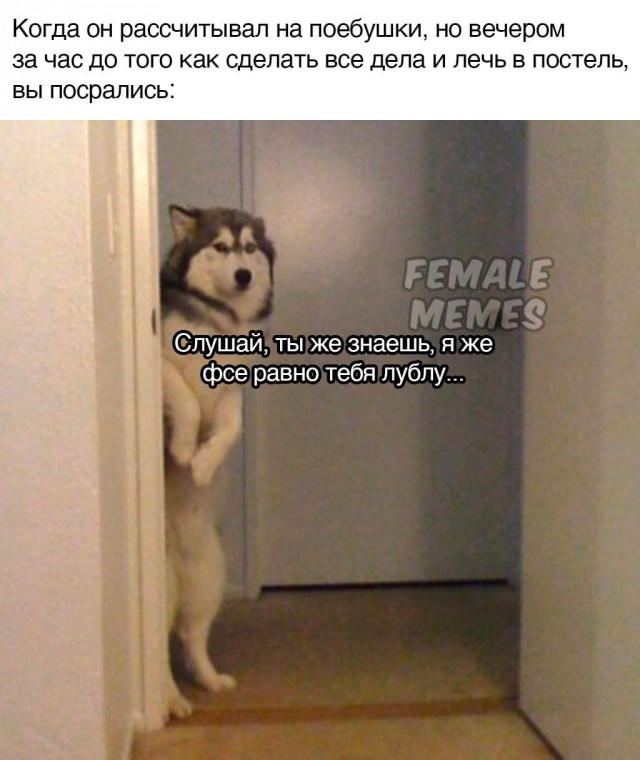 Мемасы (Пошлятина и мат)