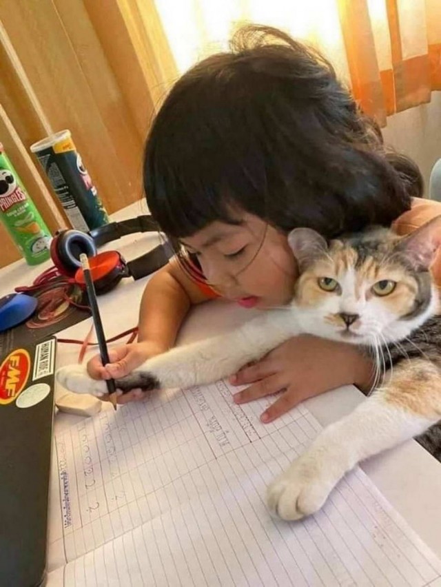 Картинки и мемы для настроения 09.09.2021