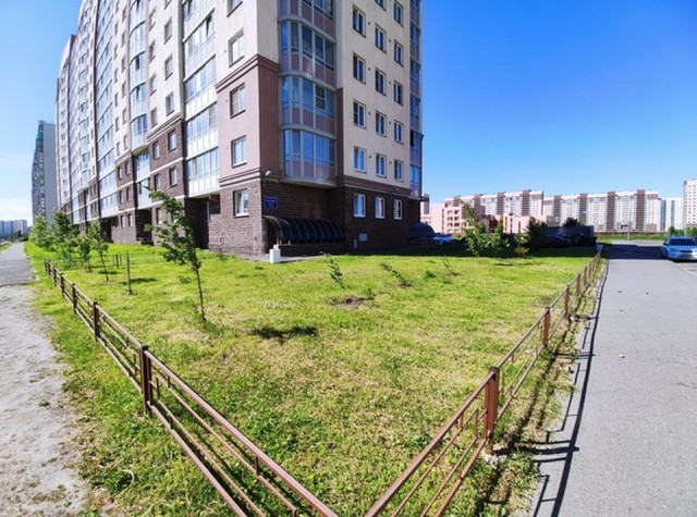 Свежая зелень