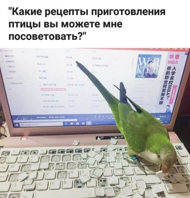 Так себе картинки 13.11.21